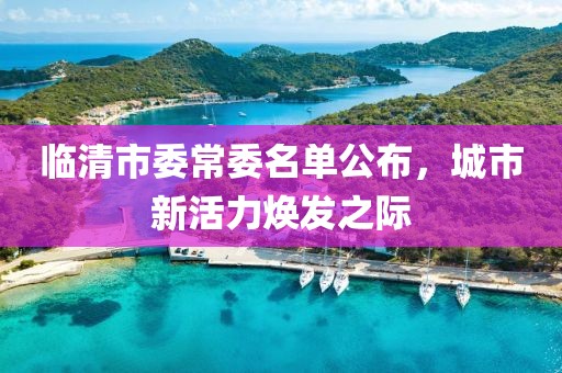 臨清市委常委名單公布，城市新活力煥發(fā)之際