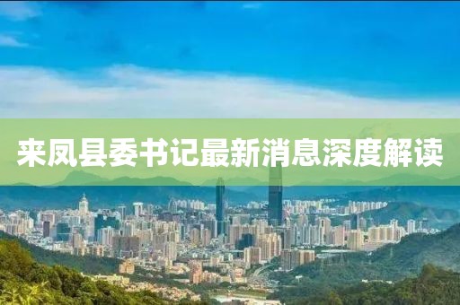 來鳳縣委書記最新消息深度解讀