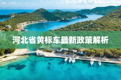 河北省黃標車最新政策解析