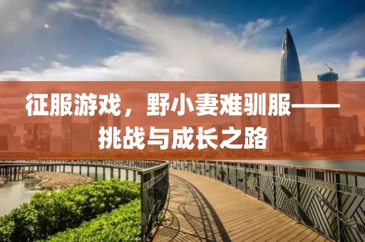 征服游戲，野小妻難馴服——挑戰(zhàn)與成長之路