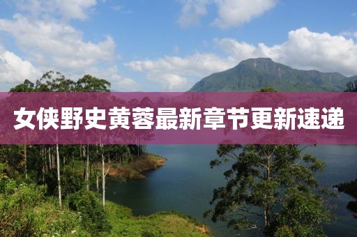女俠野史黃蓉最新章節(jié)更新速遞