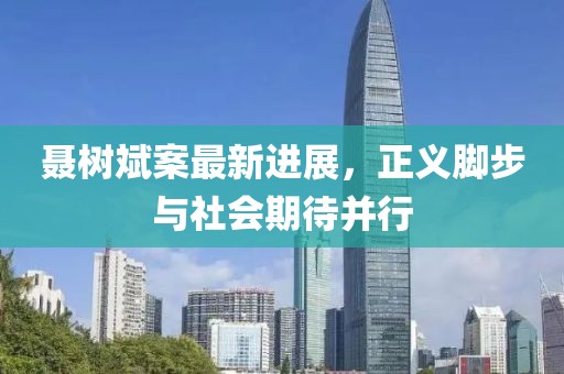 聶樹斌案最新進展，正義腳步與社會期待并行