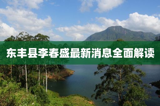 東豐縣李春盛最新消息全面解讀