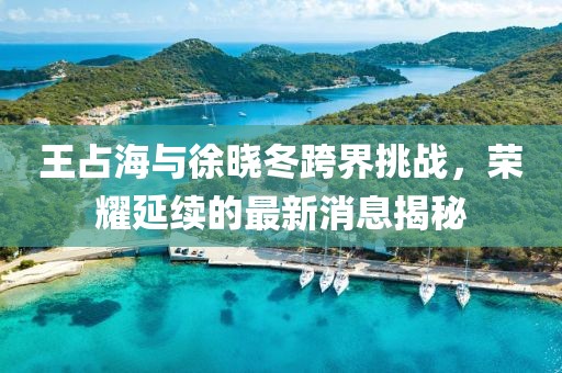 王占海與徐曉冬跨界挑戰(zhàn)，榮耀延續(xù)的最新消息揭秘