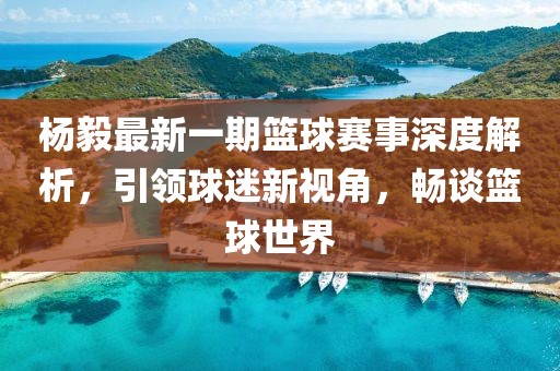 楊毅最新一期籃球賽事深度解析，引領球迷新視角，暢談籃球世界
