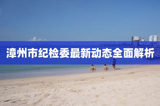 漳州市紀(jì)檢委最新動態(tài)全面解析