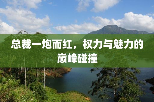 總裁一炮而紅，權(quán)力與魅力的巔峰碰撞