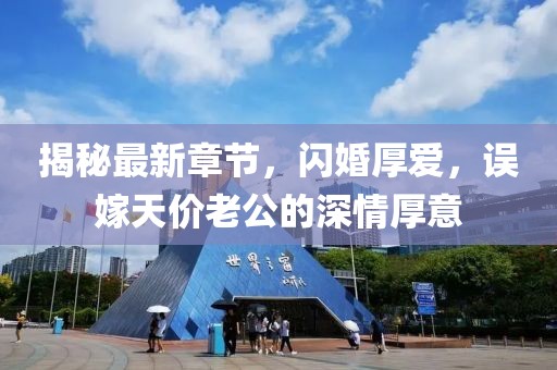 揭秘最新章節(jié)，閃婚厚愛，誤嫁天價老公的深情厚意