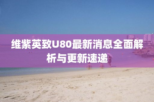 維紫英致U80最新消息全面解析與更新速遞