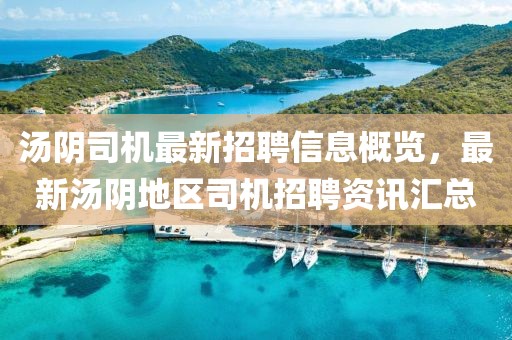 湯陰司機(jī)最新招聘信息概覽，最新湯陰地區(qū)司機(jī)招聘資訊匯總