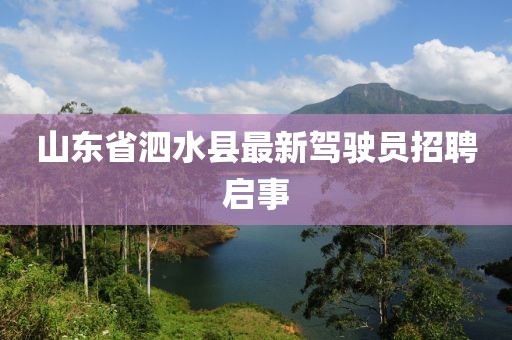 山東省泗水縣最新駕駛員招聘啟事