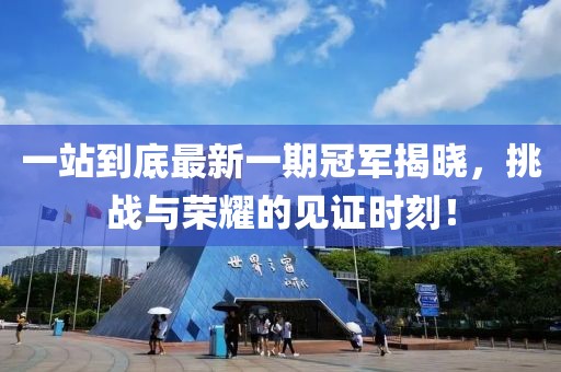 一站到底最新一期冠軍揭曉，挑戰(zhàn)與榮耀的見(jiàn)證時(shí)刻！