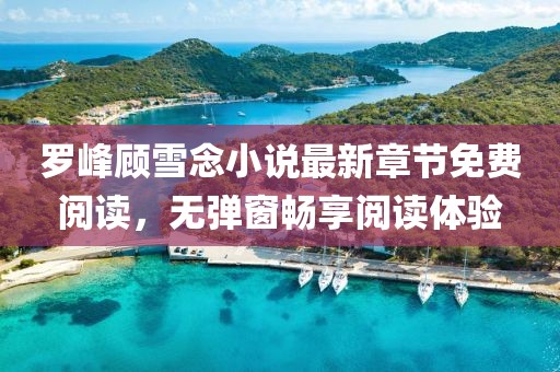 羅峰顧雪念小說最新章節(jié)免費(fèi)閱讀，無彈窗暢享閱讀體驗(yàn)