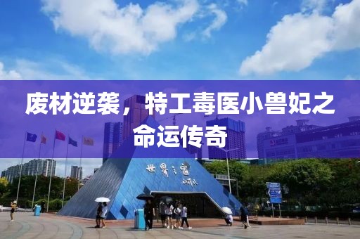 廢材逆襲，特工毒醫(yī)小獸妃之命運(yùn)傳奇