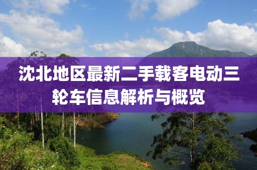 沈北地區(qū)最新二手載客電動三輪車信息解析與概覽