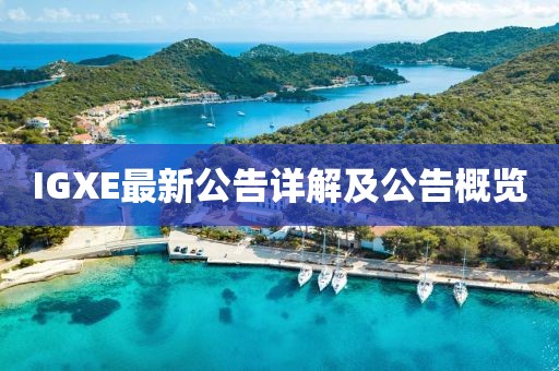 IGXE最新公告詳解及公告概覽
