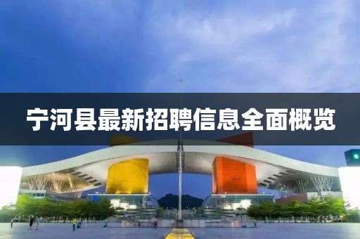 寧河縣最新招聘信息全面概覽