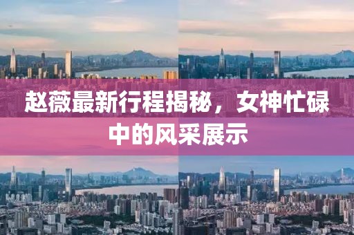 趙薇最新行程揭秘，女神忙碌中的風(fēng)采展示