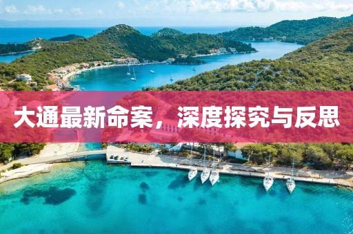 大通最新命案，深度探究與反思