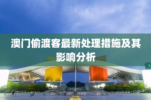 澳門偷渡客最新處理措施及其影響分析