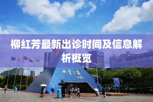 柳紅芳最新出診時(shí)間及信息解析概覽