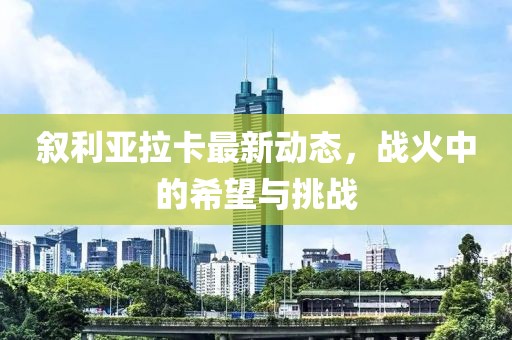 敘利亞拉卡最新動(dòng)態(tài)，戰(zhàn)火中的希望與挑戰(zhàn)