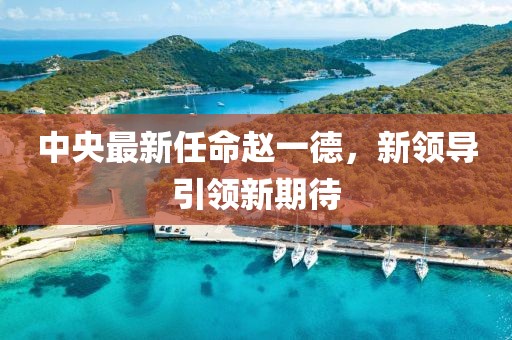 中央最新任命趙一德，新領(lǐng)導(dǎo)引領(lǐng)新期待