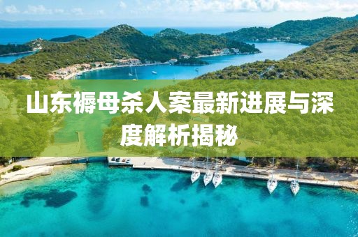 山東褥母殺人案最新進(jìn)展與深度解析揭秘