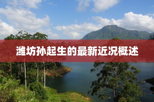 濰坊孫起生的最新近況概述