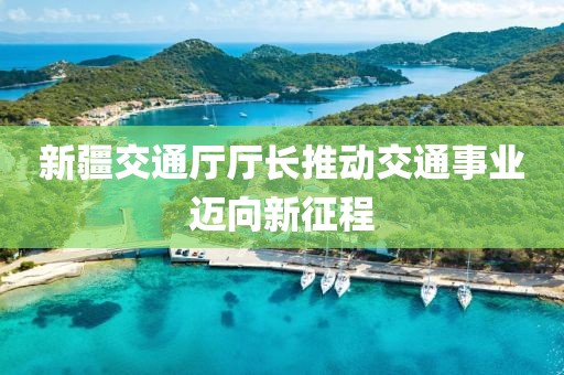 新疆交通廳廳長推動交通事業(yè)邁向新征程