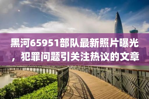 黑河65951部隊(duì)最新照片曝光，犯罪問(wèn)題引關(guān)注熱議的文章
