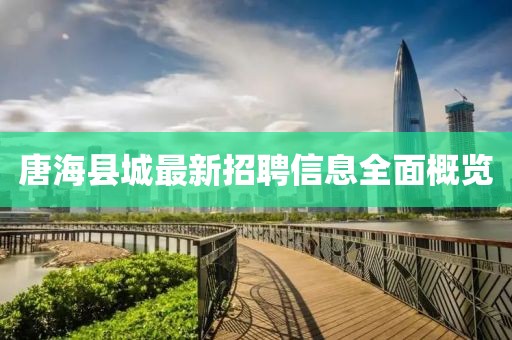 唐?？h城最新招聘信息全面概覽