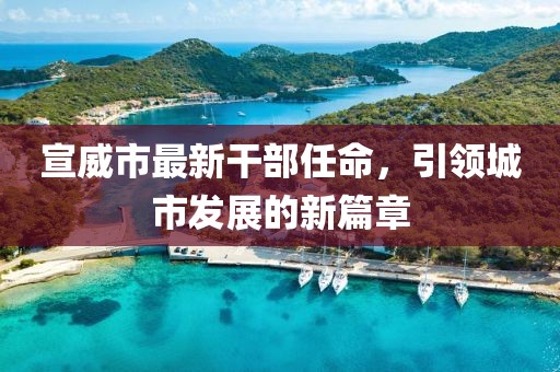 宣威市最新干部任命，引領(lǐng)城市發(fā)展的新篇章
