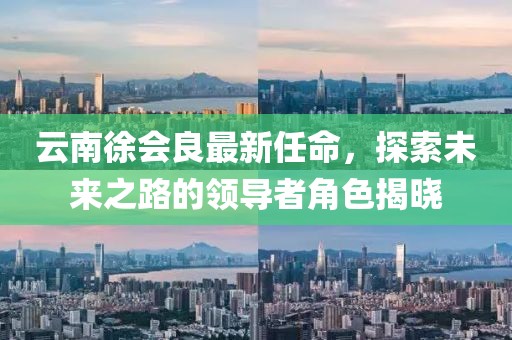 云南徐會良最新任命，探索未來之路的領導者角色揭曉