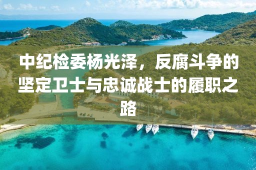 中紀(jì)檢委楊光澤，反腐斗爭(zhēng)的堅(jiān)定衛(wèi)士與忠誠(chéng)戰(zhàn)士的履職之路