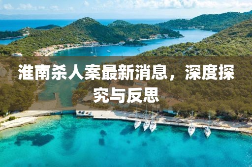 淮南殺人案最新消息，深度探究與反思