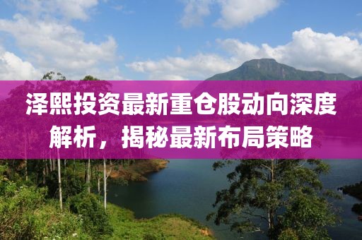 澤熙投資最新重倉股動向深度解析，揭秘最新布局策略