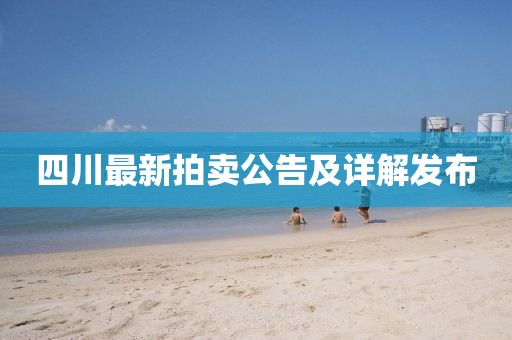 四川最新拍賣公告及詳解發(fā)布