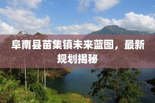 阜南縣苗集鎮(zhèn)未來(lái)藍(lán)圖，最新規(guī)劃揭秘