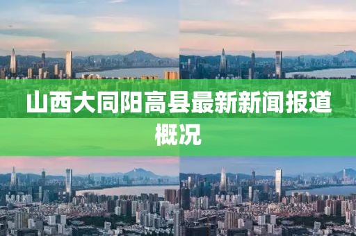 山西大同陽高縣最新新聞報(bào)道概況