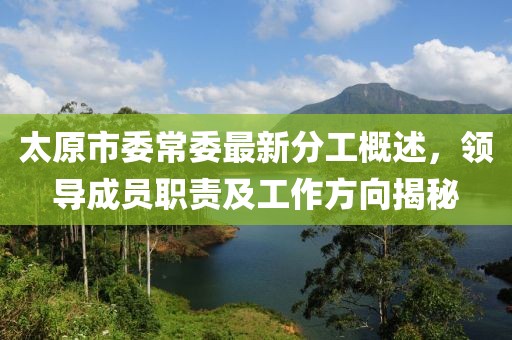 太原市委常委最新分工概述，領導成員職責及工作方向揭秘