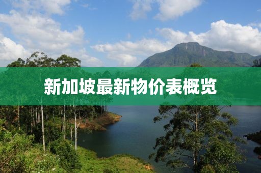 新加坡最新物價(jià)表概覽