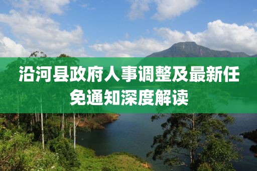 沿河縣政府人事調(diào)整及最新任免通知深度解讀