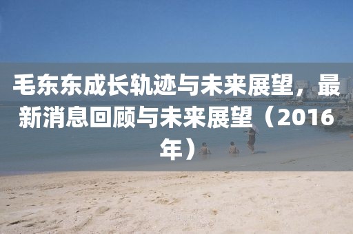 毛東東成長軌跡與未來展望，最新消息回顧與未來展望（2016年）