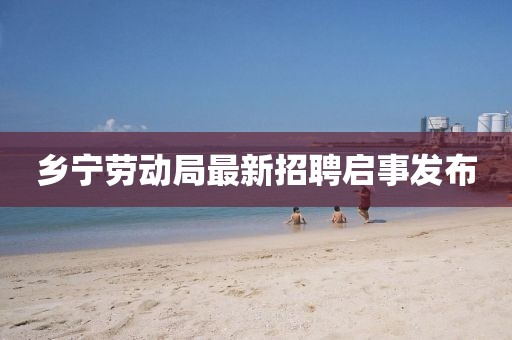 鄉(xiāng)寧勞動局最新招聘啟事發(fā)布