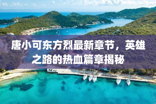 唐小可東方烈最新章節(jié)，英雄之路的熱血篇章揭秘