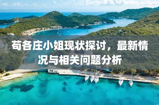 茍各莊小姐現(xiàn)狀探討，最新情況與相關問題分析