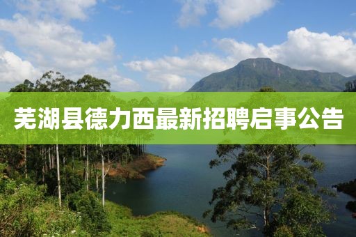 蕪湖縣德力西最新招聘啟事公告