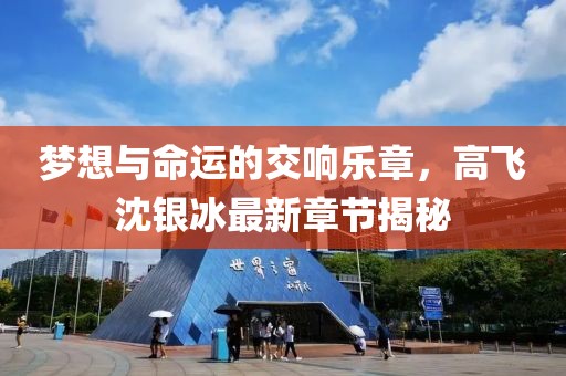 夢(mèng)想與命運(yùn)的交響樂章，高飛沈銀冰最新章節(jié)揭秘