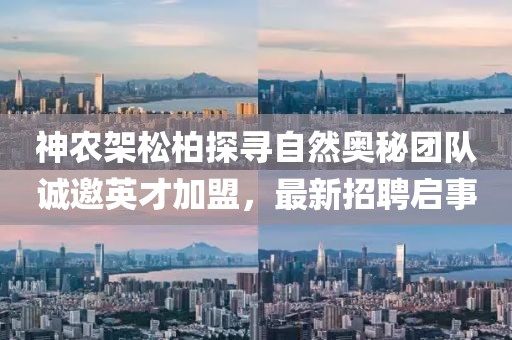 神農(nóng)架松柏探尋自然奧秘團(tuán)隊(duì)誠(chéng)邀英才加盟，最新招聘啟事
